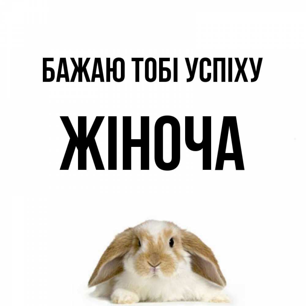 Открытка на каждый день з підписом, Жіноча Бажаю тобі успіху открытки с произвольным текстом который можно вставить в открытку и создать ее самостоятельно бесплатно онлайн Прикольна листівка з побажанням онлайн скачати безкоштовно 