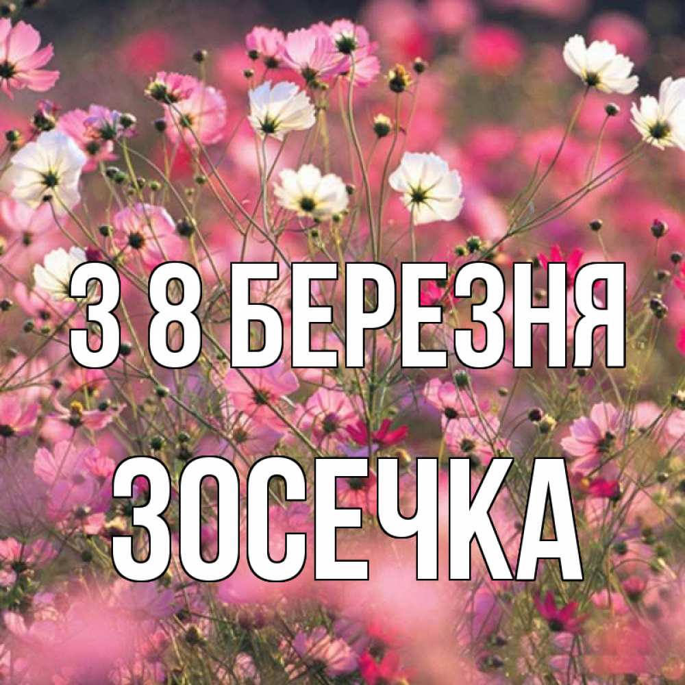 Открытка на каждый день з підписом, Зосечка З 8 БЕРЕЗНЯ красиво 1 Прикольна листівка з побажанням онлайн скачати безкоштовно 