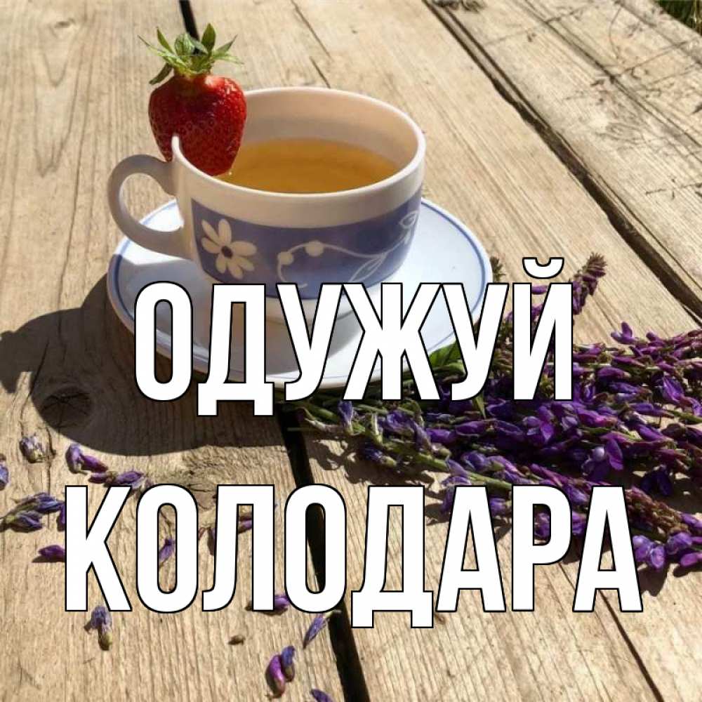 Открытка на каждый день з підписом, Колодара Одужуй чай Прикольна листівка з побажанням онлайн скачати безкоштовно 