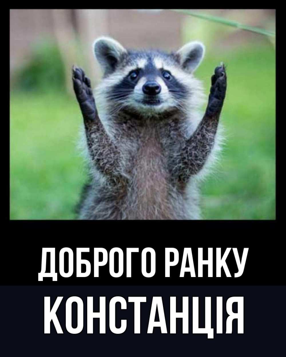 Открытка на каждый день з підписом, Констанція Доброго ранку хорошее настроение утречком Прикольна листівка з побажанням онлайн скачати безкоштовно 