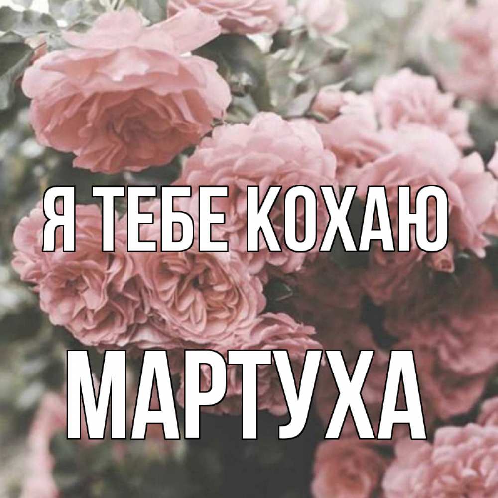 Открытка на каждый день з підписом, Мартуха Я тебе кохаю розы 3 Прикольна листівка з побажанням онлайн скачати безкоштовно 