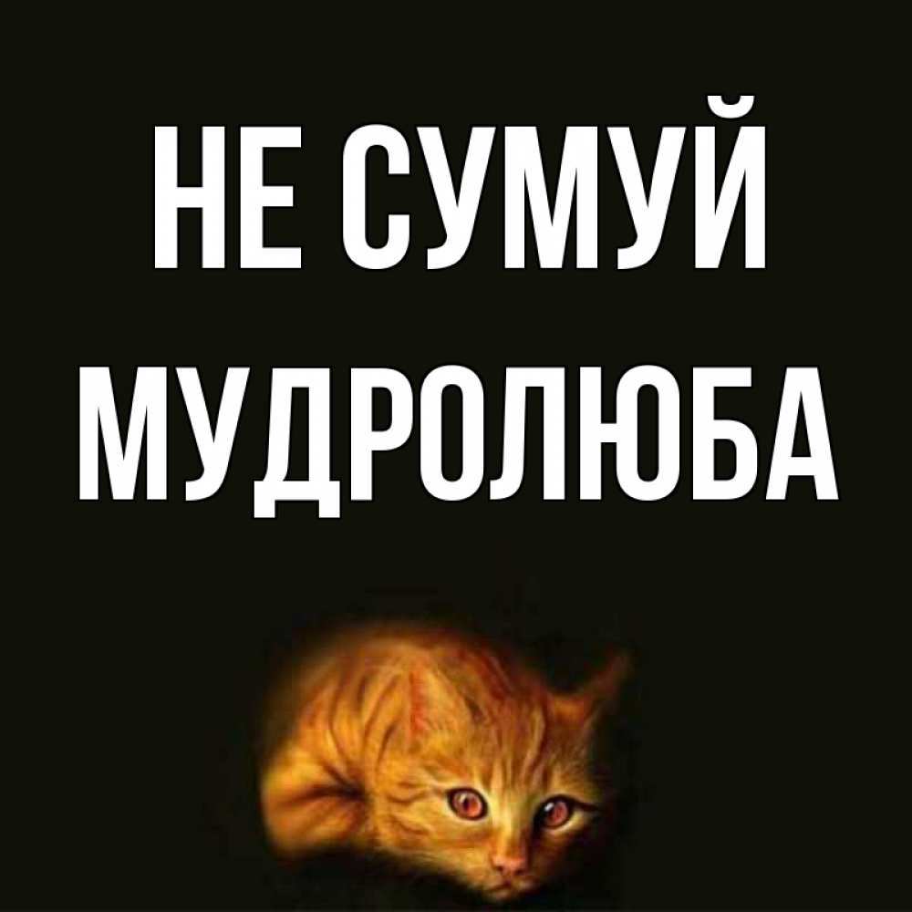 Открытка на каждый день з підписом, Мудролюба Не сумуй лежащий кот в темноте Прикольна листівка з побажанням онлайн скачати безкоштовно 