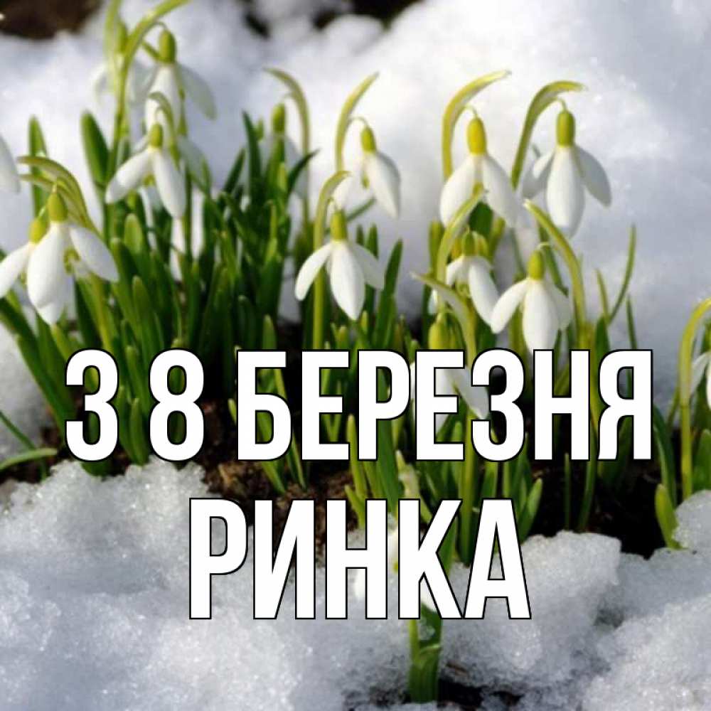 Открытка на каждый день з підписом, Ринка З 8 БЕРЕЗНЯ цветы весенние Прикольна листівка з побажанням онлайн скачати безкоштовно 