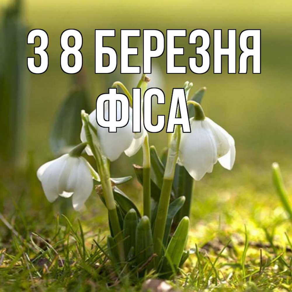 Открытка на каждый день з підписом, Фіса З 8 БЕРЕЗНЯ ранние цветы 2 Прикольна листівка з побажанням онлайн скачати безкоштовно 