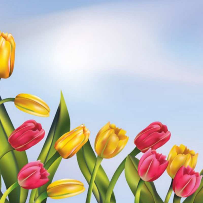 Открытка клипарт тюльпаны  праздник весны наурыз С наурызом 