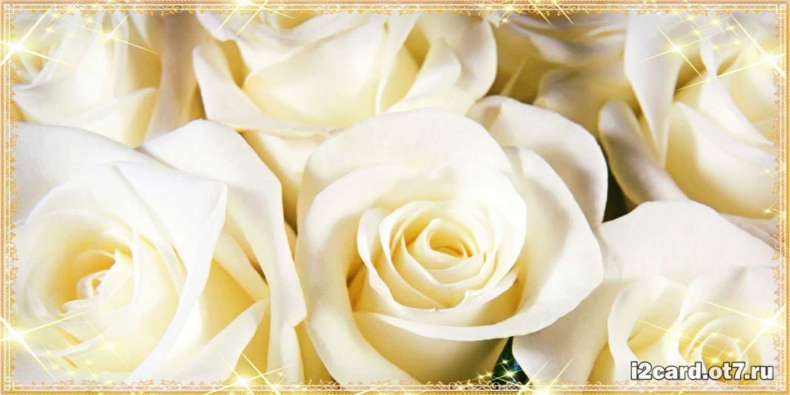 Открытка белые розы для родных людей розочки белого цвета на открытке З Днем народження 