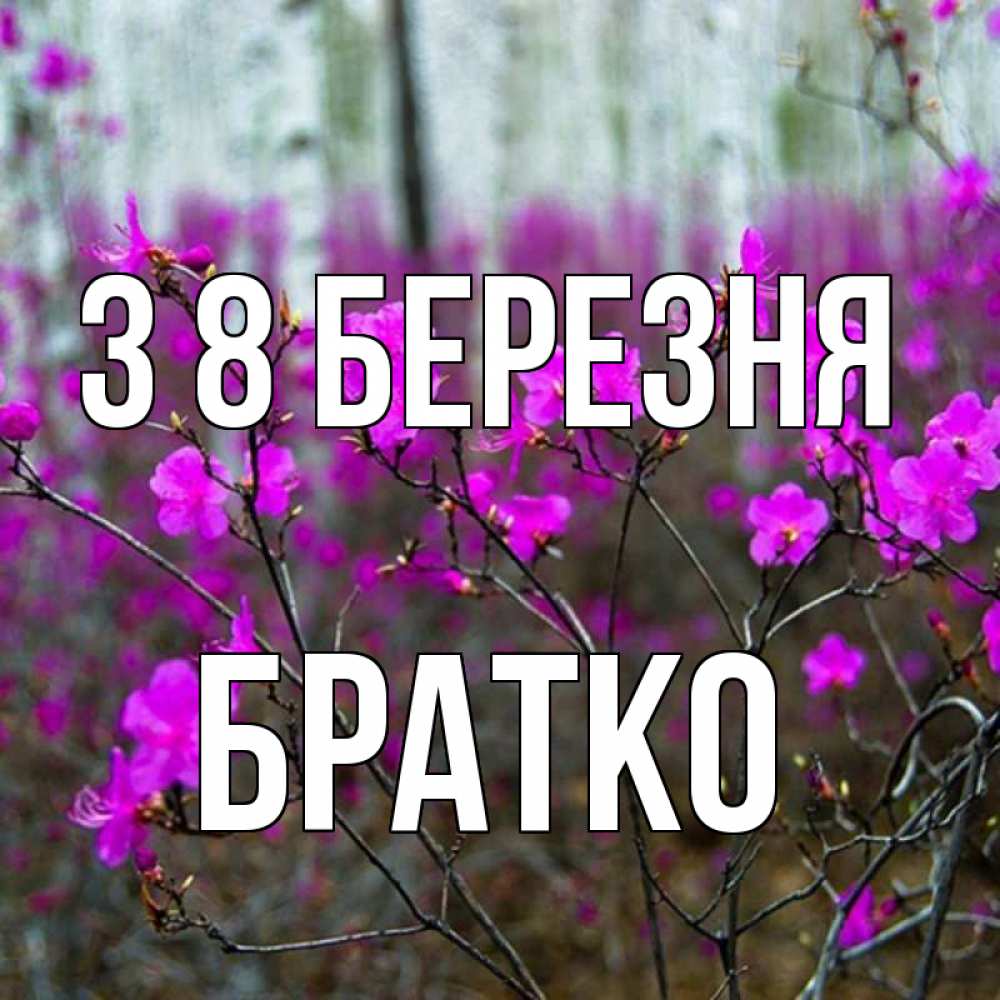 Открытка на каждый день з підписом, Братко З 8 БЕРЕЗНЯ дикие цветы Прикольна листівка з побажанням онлайн скачати безкоштовно 