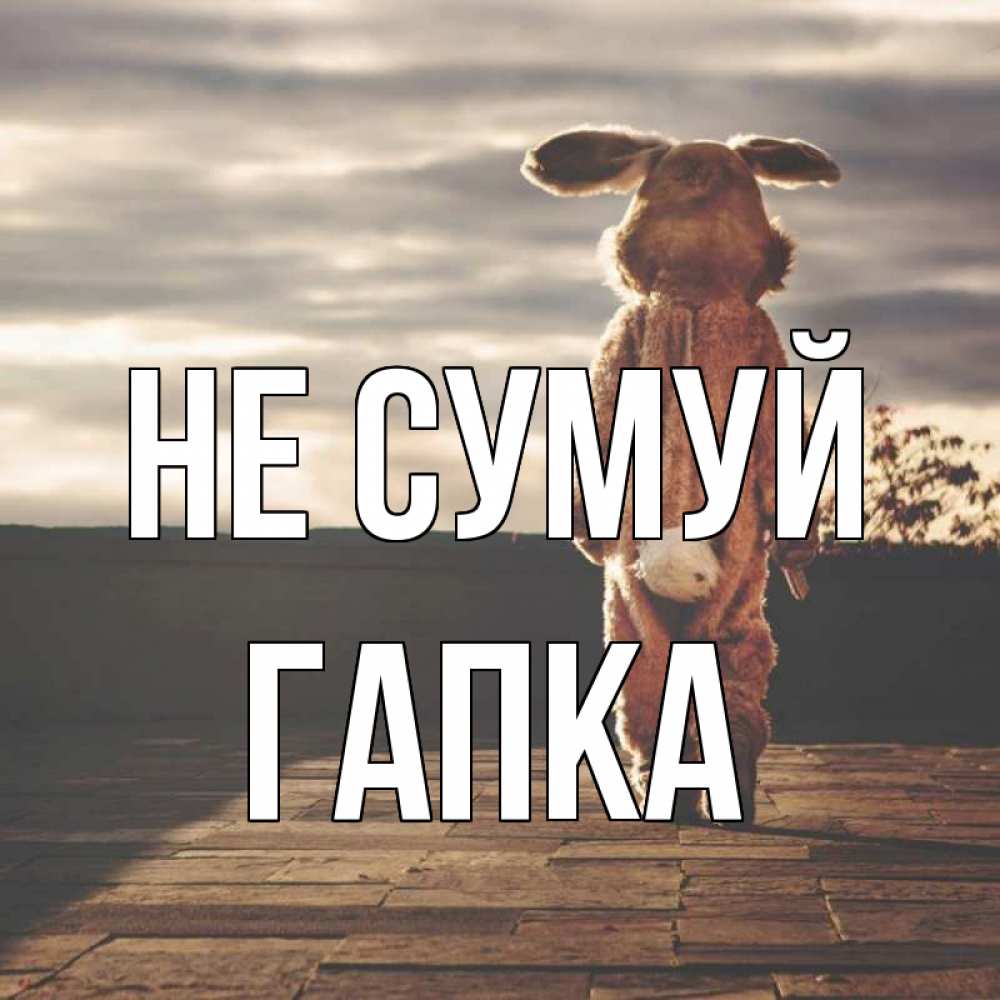 Открытка на каждый день з підписом, Гапка Не сумуй со спины Прикольна листівка з побажанням онлайн скачати безкоштовно 
