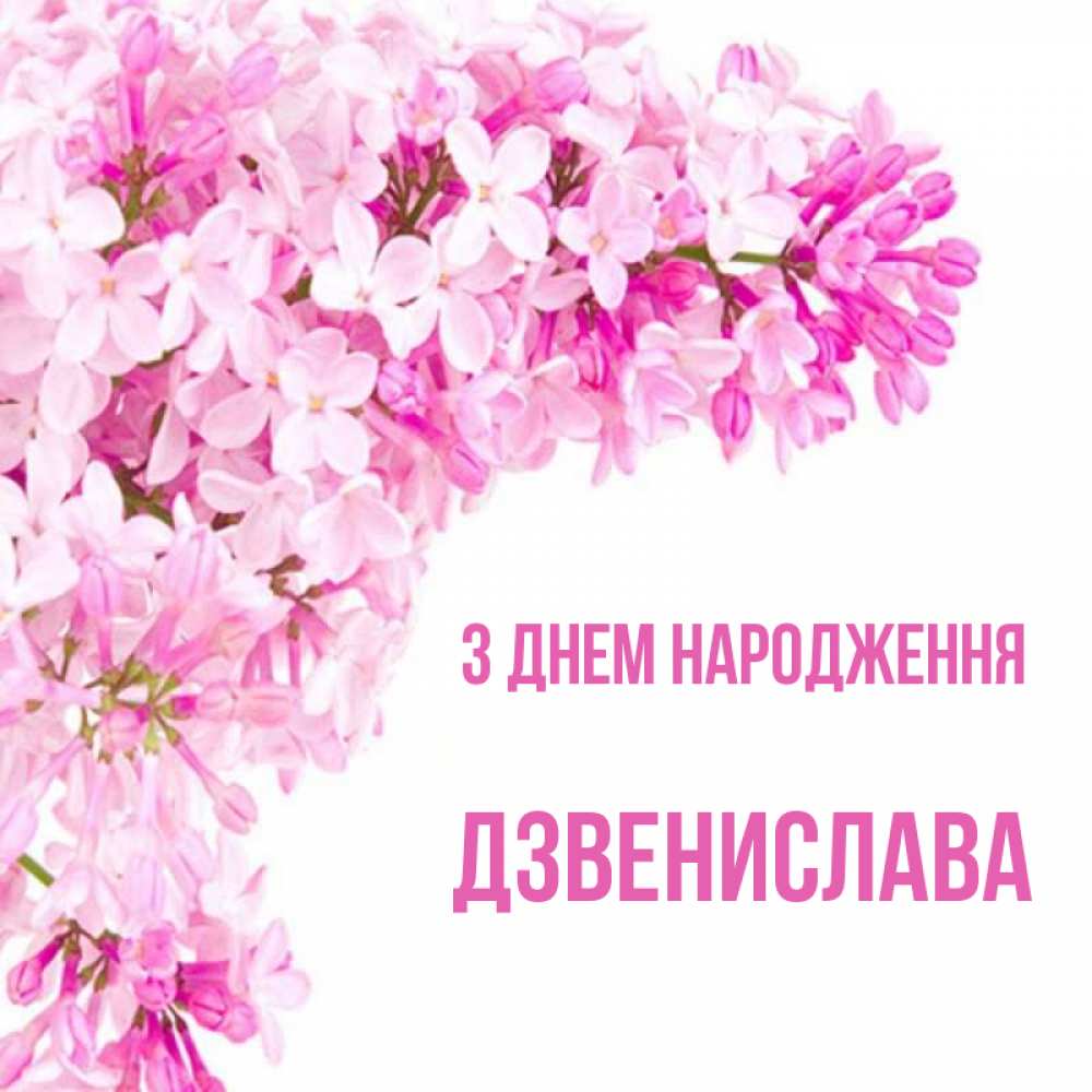 Открытка на каждый день з підписом, Дзвенислава З Днем народження Сирень на белом фоне Прикольна листівка з побажанням онлайн скачати безкоштовно 