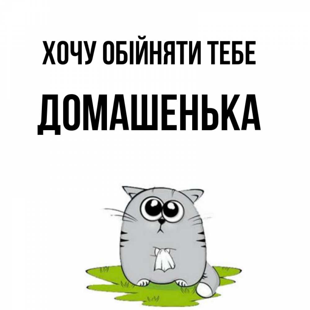 Открытка на каждый день з підписом, Домашенька Хочу обійняти тебе котик теребит платочек сидя на травке Прикольна листівка з побажанням онлайн скачати безкоштовно 