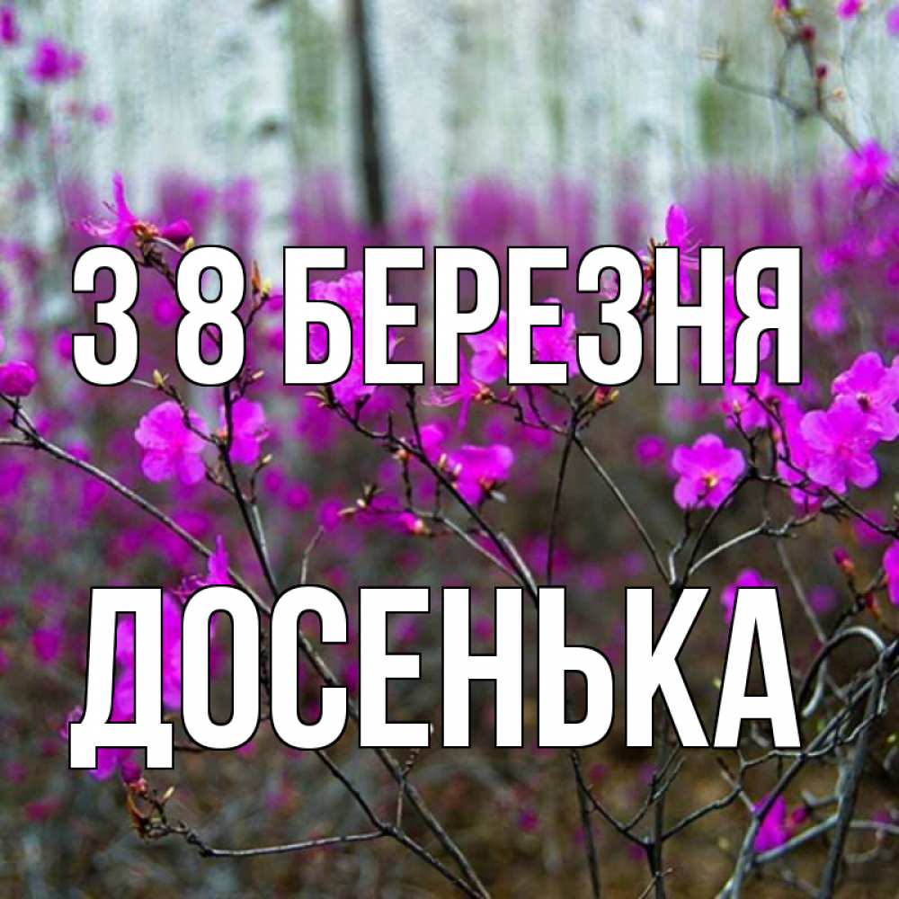 Открытка на каждый день з підписом, Досенька З 8 БЕРЕЗНЯ дикие цветы Прикольна листівка з побажанням онлайн скачати безкоштовно 