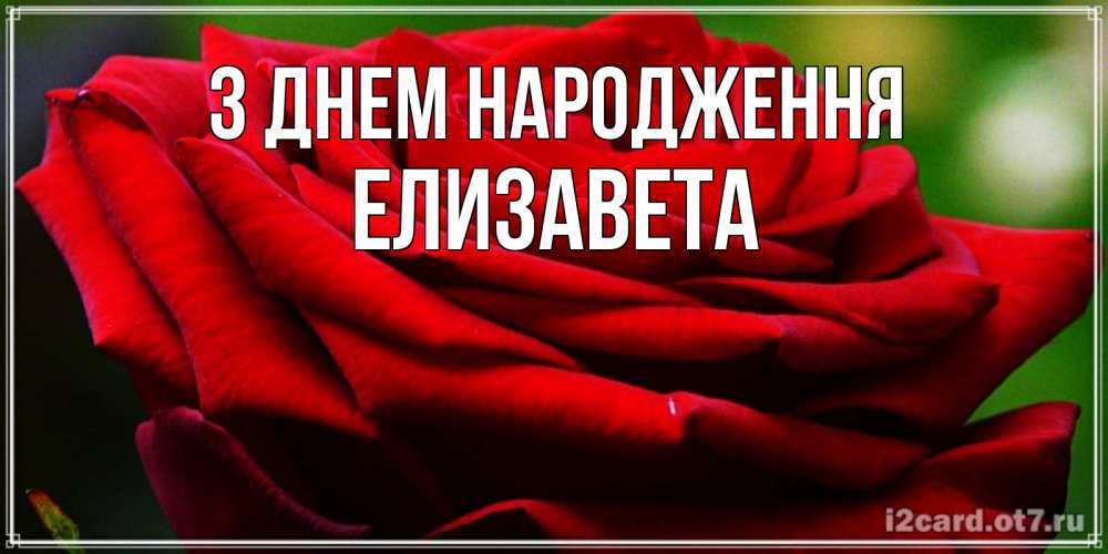 Открытка на каждый день з підписом, Елизавета З Днем народження розочка очень красивая Прикольна листівка з побажанням онлайн скачати безкоштовно 