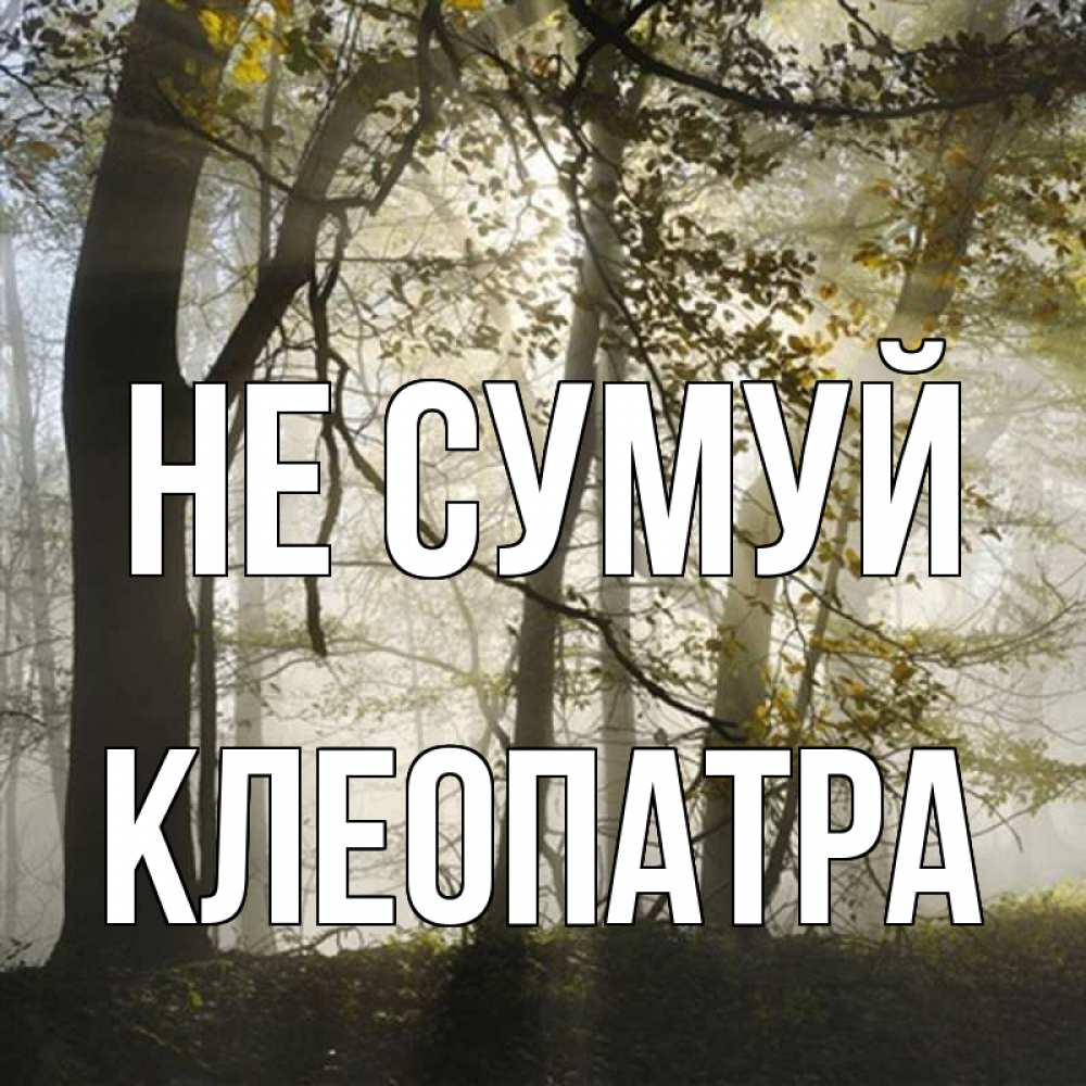 Открытка на каждый день з підписом, Клеопатра Не сумуй лес и свет Прикольна листівка з побажанням онлайн скачати безкоштовно 
