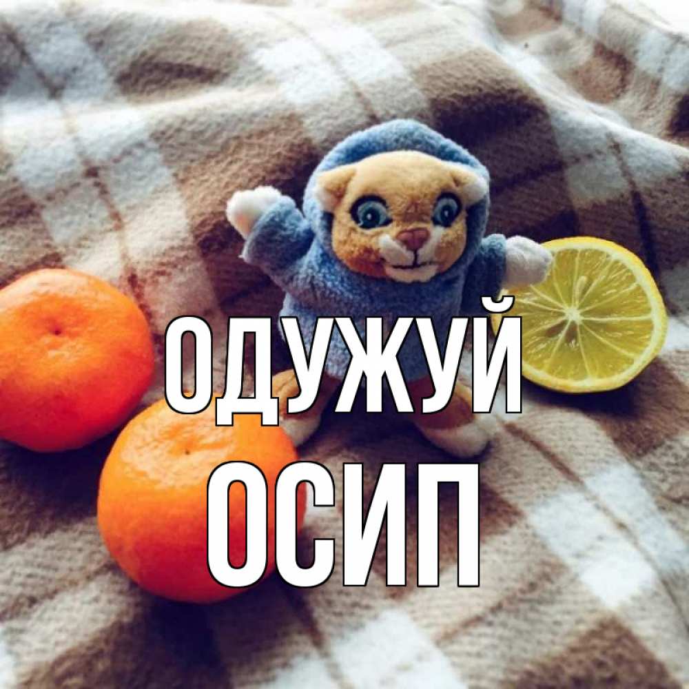 Открытка на каждый день з підписом, Осип Одужуй вот тебе апельсинка и лимон Прикольна листівка з побажанням онлайн скачати безкоштовно 