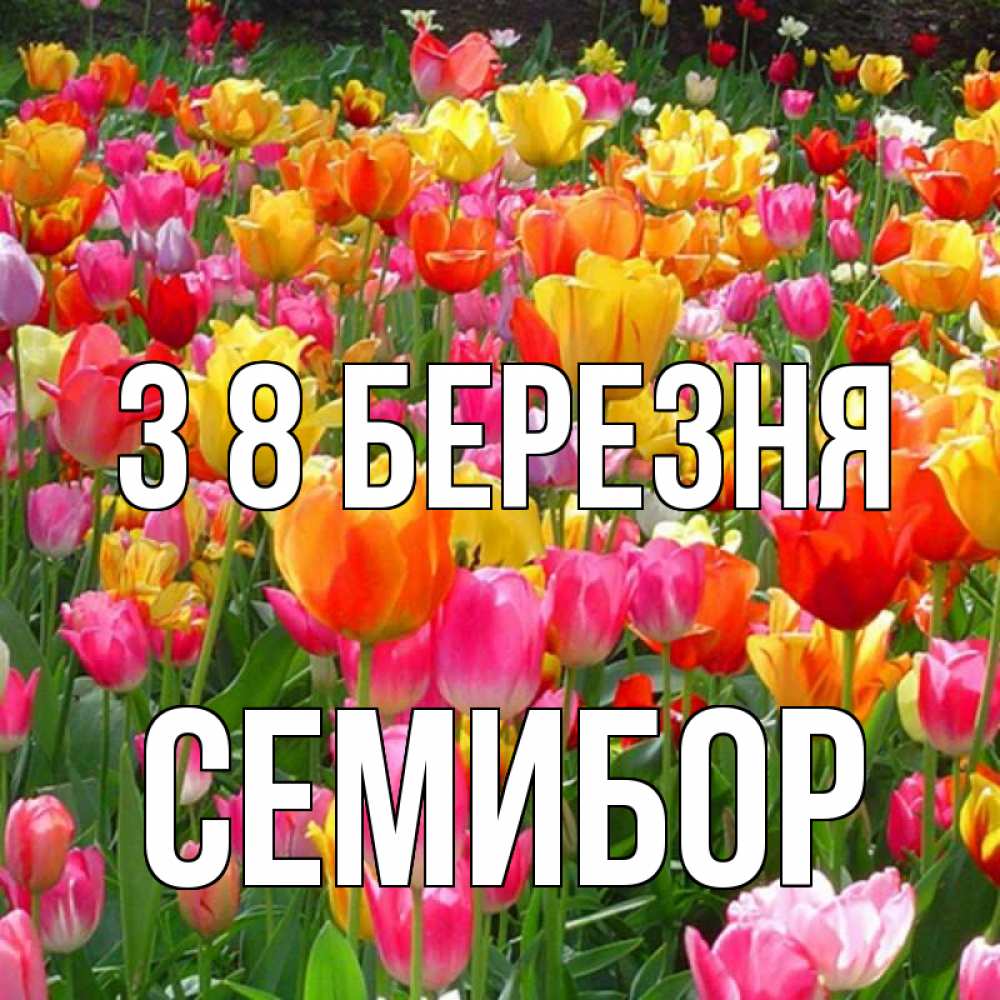 Открытка на каждый день з підписом, Семибор З 8 БЕРЕЗНЯ на международный женский день Прикольна листівка з побажанням онлайн скачати безкоштовно 