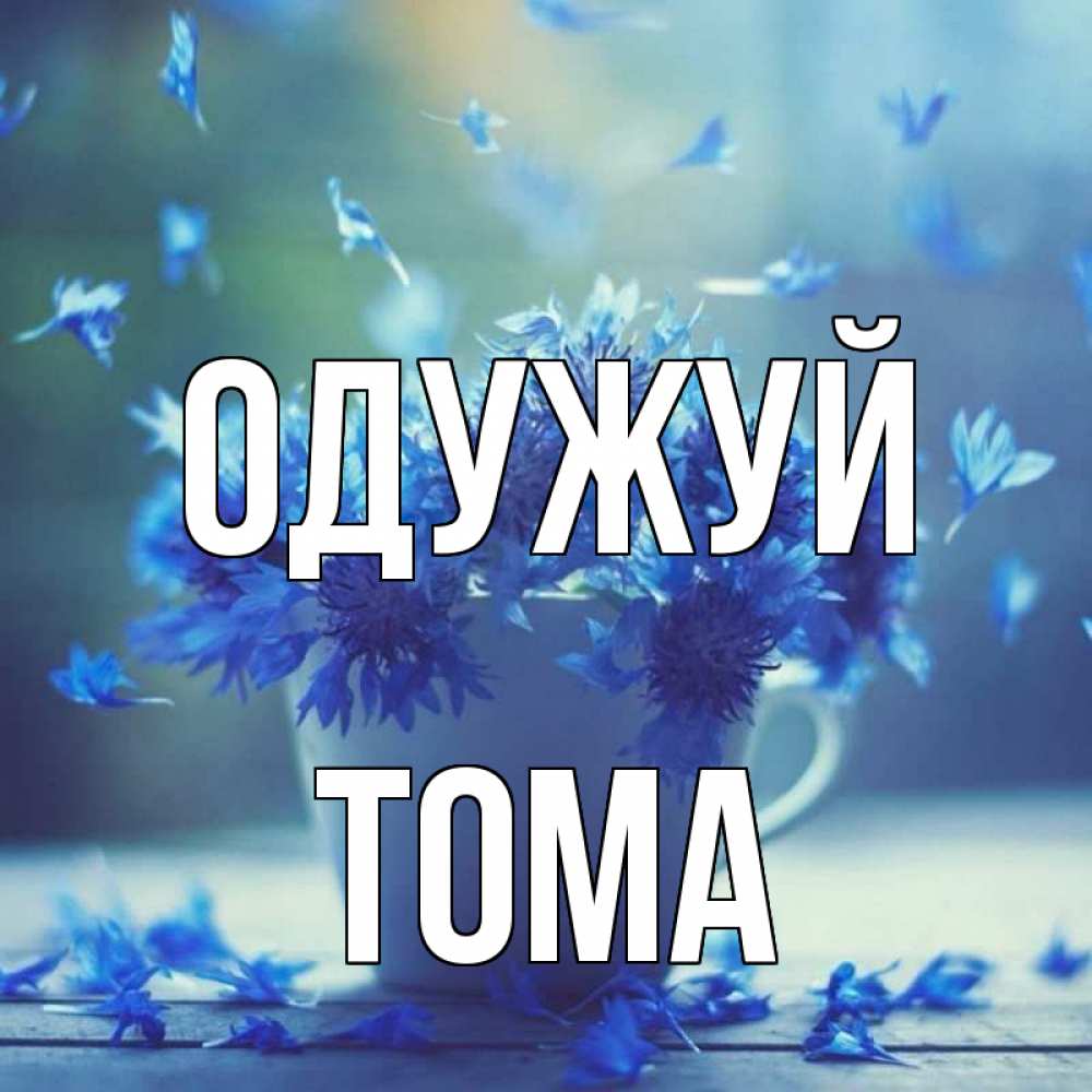 Открытка на каждый день з підписом, Тома Одужуй кружка с зельем и цветами Прикольна листівка з побажанням онлайн скачати безкоштовно 