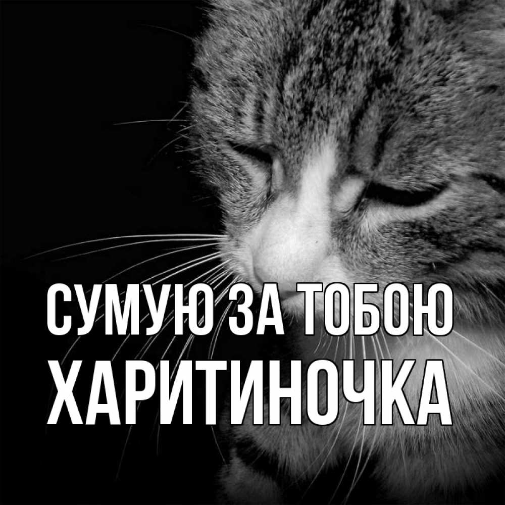 Открытка на каждый день з підписом, Харитиночка Сумую за тобою мне скучно Прикольна листівка з побажанням онлайн скачати безкоштовно 