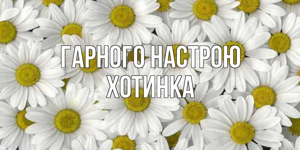 Открытка на каждый день з підписом, Хотинка Гарного настрою поляна ромашек Прикольна листівка з побажанням онлайн скачати безкоштовно 
