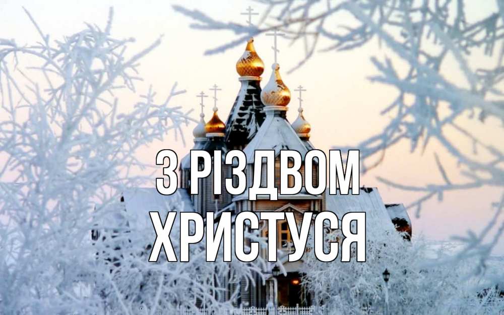 Открытка на каждый день з підписом, Христуся З Різдвом рождество, золотые купала 1 Прикольна листівка з побажанням онлайн скачати безкоштовно 