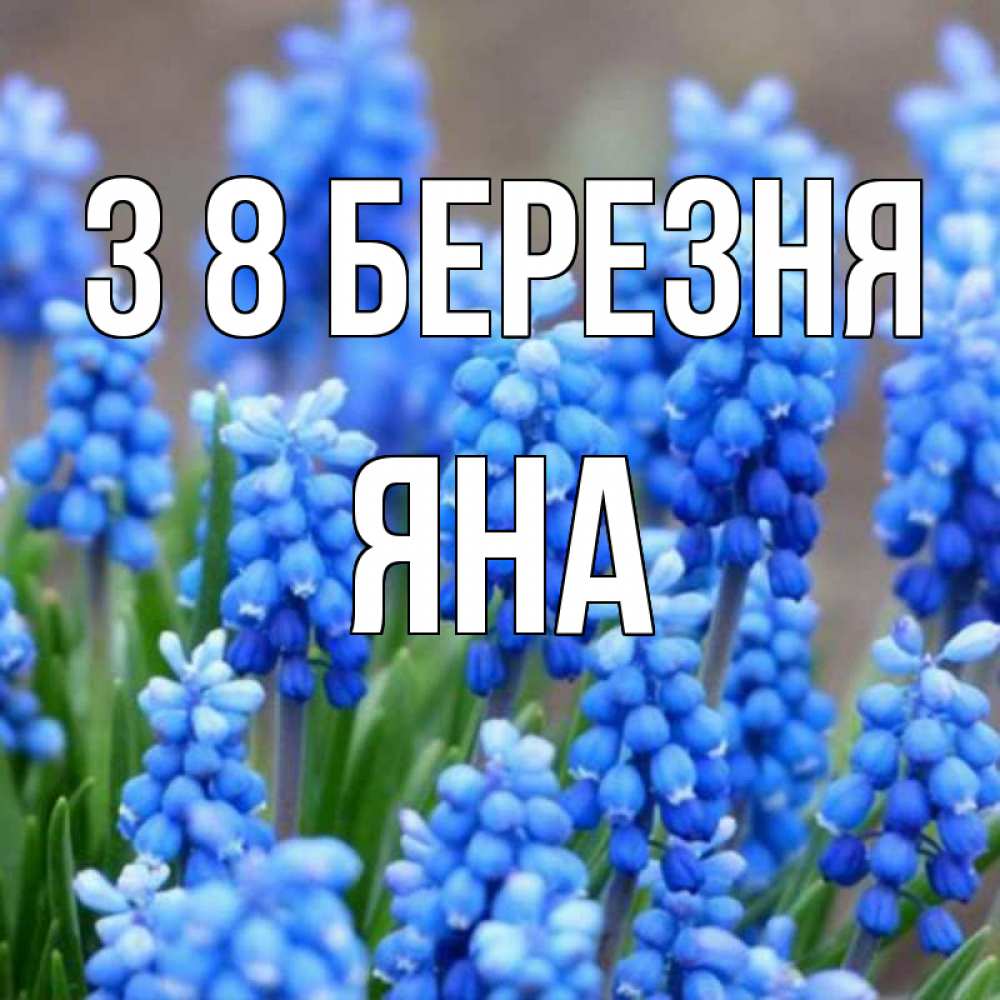 Открытка на каждый день з підписом, Яна З 8 БЕРЕЗНЯ Поздравительная открытка для женщин с цветами на праздничную дату Прикольна листівка з побажанням онлайн скачати безкоштовно 