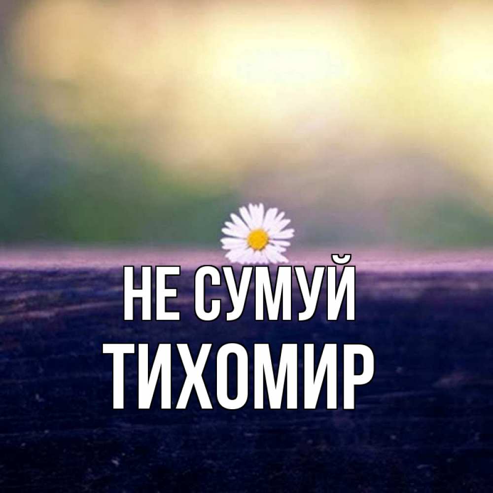 Открытка на каждый день з підписом, Тихомир Не сумуй красота Прикольна листівка з побажанням онлайн скачати безкоштовно 