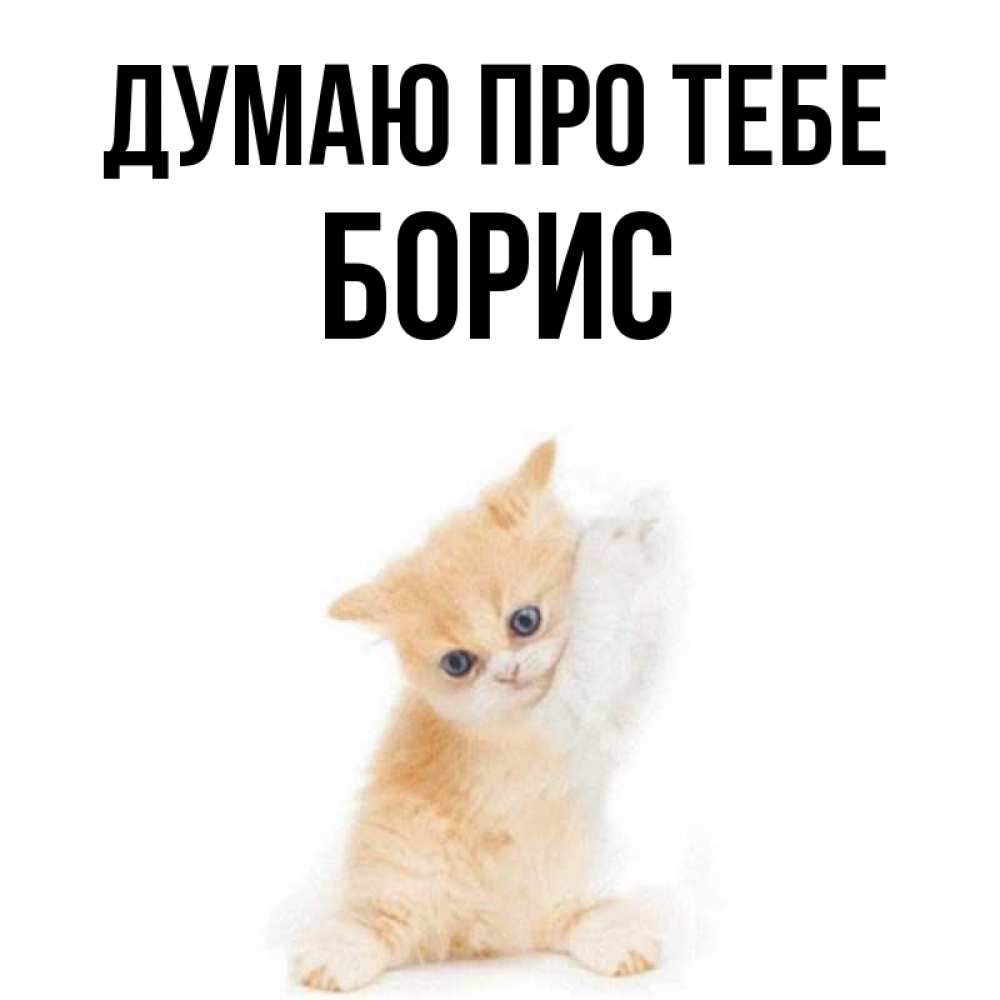 Открытка на каждый день з підписом, Борис Думаю про тебе зверушки и милота Прикольна листівка з побажанням онлайн скачати безкоштовно 