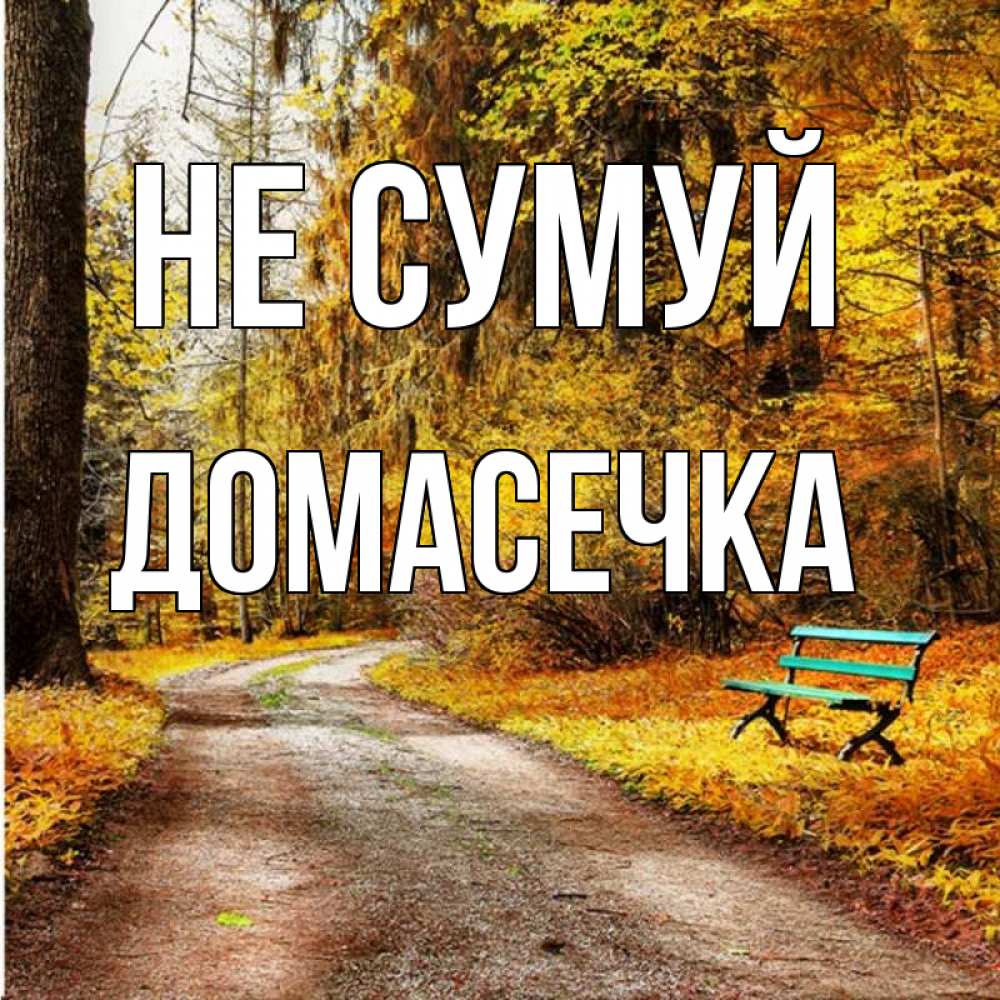 Открытка на каждый день з підписом, Домасечка Не сумуй зеленая лавочка Прикольна листівка з побажанням онлайн скачати безкоштовно 