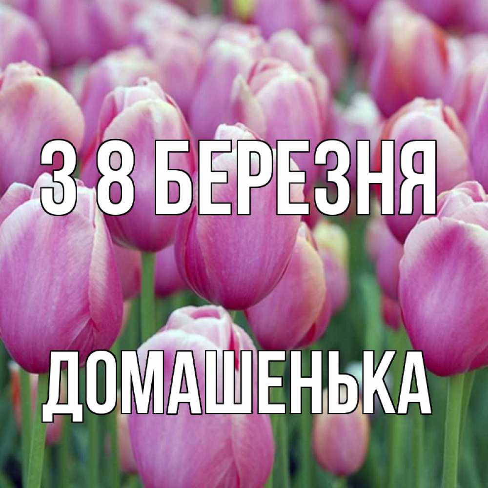 Открытка на каждый день з підписом, Домашенька З 8 БЕРЕЗНЯ на международный женский день 3 Прикольна листівка з побажанням онлайн скачати безкоштовно 