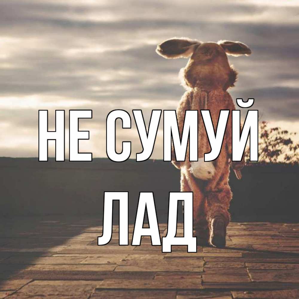 Открытка на каждый день з підписом, Лад Не сумуй со спины Прикольна листівка з побажанням онлайн скачати безкоштовно 