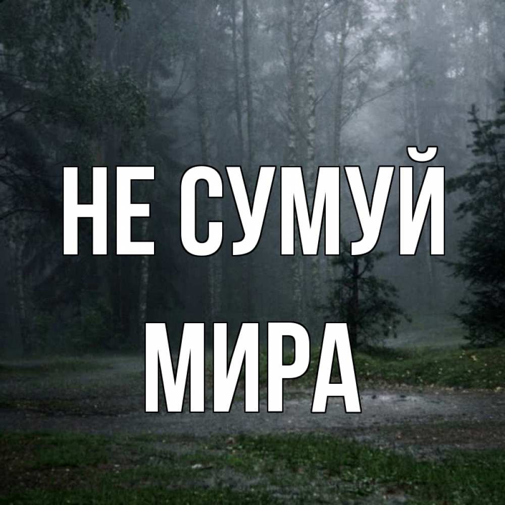 Открытка на каждый день з підписом, Мира Не сумуй осень Прикольна листівка з побажанням онлайн скачати безкоштовно 