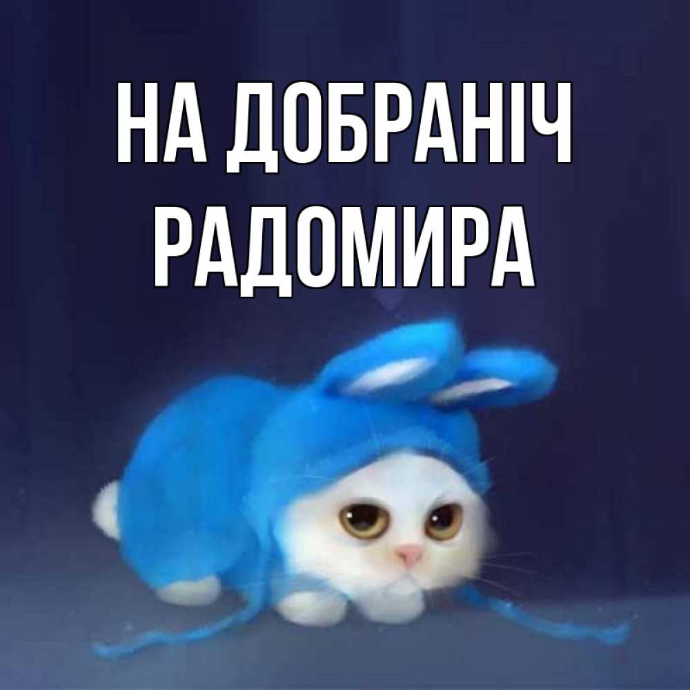 Открытка на каждый день з підписом, Радомира На добраніч кот в голубом костюме кролика с ушками Прикольна листівка з побажанням онлайн скачати безкоштовно 