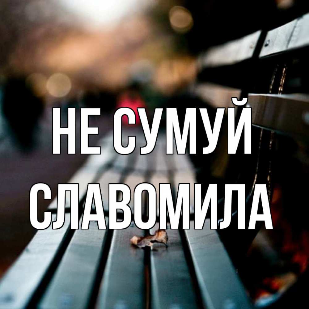 Открытка на каждый день з підписом, Славомила Не сумуй размытый фон Прикольна листівка з побажанням онлайн скачати безкоштовно 
