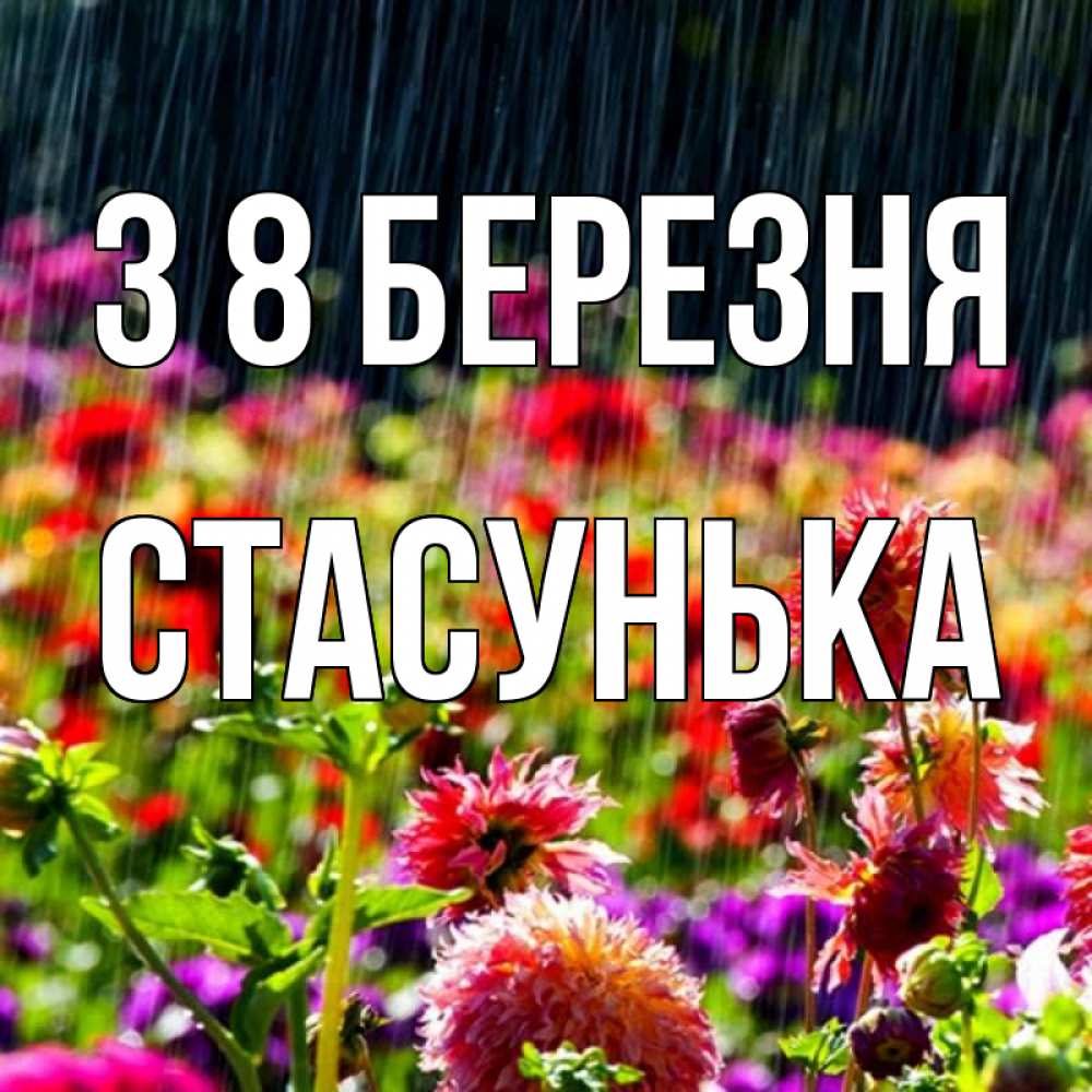 Открытка на каждый день з підписом, Стасунька З 8 БЕРЕЗНЯ цветы под дождиком к международному женскому дню Прикольна листівка з побажанням онлайн скачати безкоштовно 
