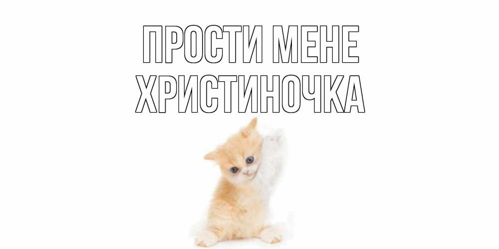 Открытка на каждый день з підписом, Христиночка Прости мене кот Прикольна листівка з побажанням онлайн скачати безкоштовно 