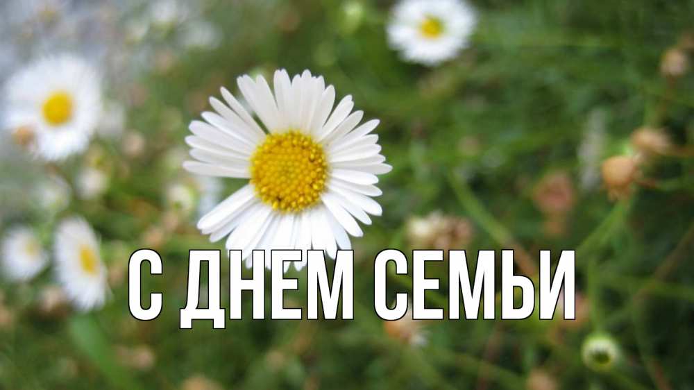 Листівка С днем семьи, 