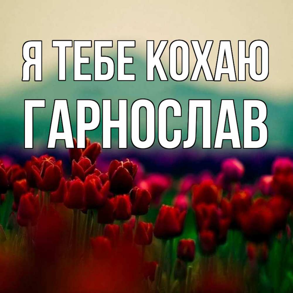 Открытка на каждый день з підписом, Гарнослав Я тебе кохаю тюльпаны 4 Прикольна листівка з побажанням онлайн скачати безкоштовно 