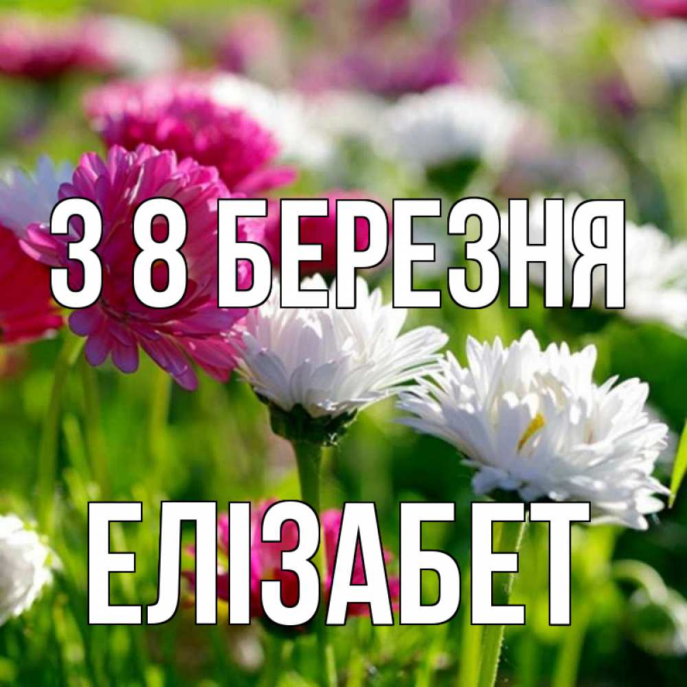 Открытка на каждый день з підписом, Елізабет З 8 БЕРЕЗНЯ международный женский день 1 Прикольна листівка з побажанням онлайн скачати безкоштовно 