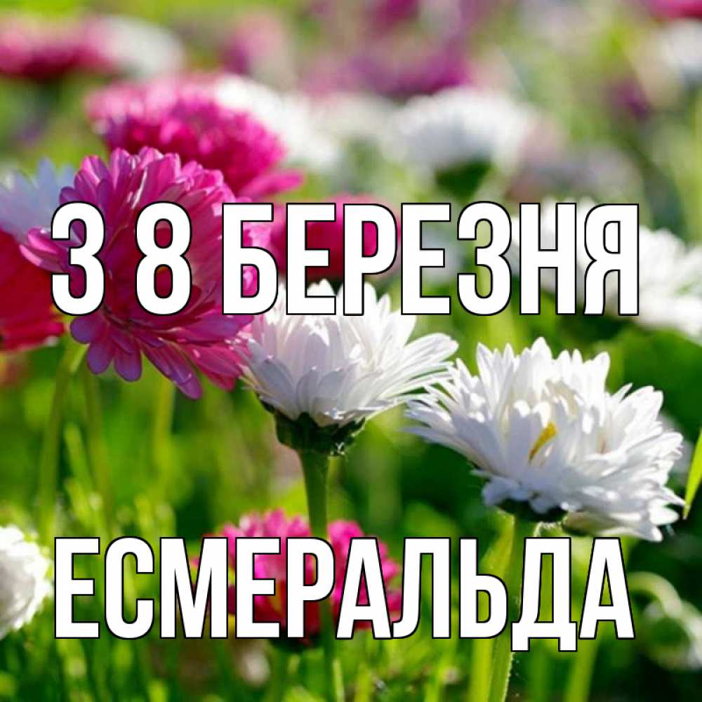 Открытка на каждый день з підписом, Есмеральда З 8 БЕРЕЗНЯ международный женский день 1 Прикольна листівка з побажанням онлайн скачати безкоштовно 