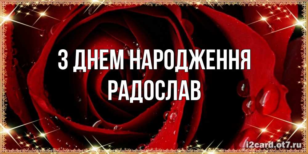 Открытка на каждый день з підписом, Радослав З Днем народження цветок в росе на день рождения Прикольна листівка з побажанням онлайн скачати безкоштовно 