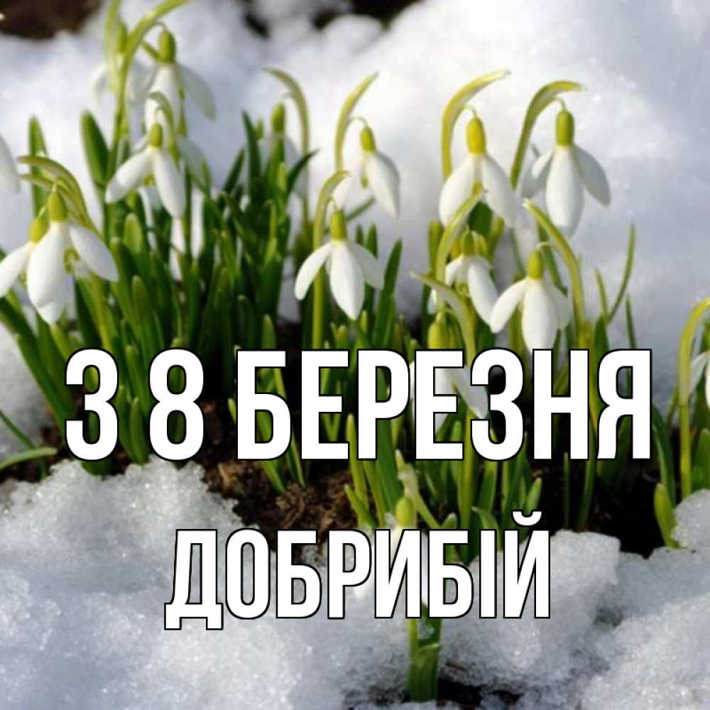 Открытка на каждый день з підписом, Добрибій З 8 БЕРЕЗНЯ цветы весенние Прикольна листівка з побажанням онлайн скачати безкоштовно 