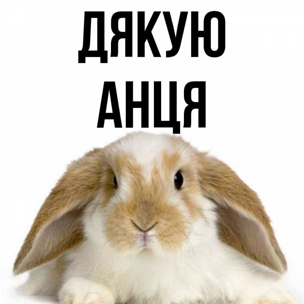 Открытка на каждый день з підписом, Анця Дякую коричнево белый заяц Прикольна листівка з побажанням онлайн скачати безкоштовно 