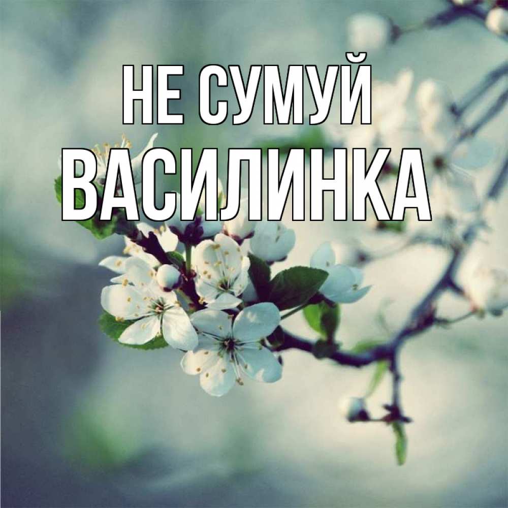 Открытка на каждый день з підписом, Василинка Не сумуй яблоня в цвету 1 Прикольна листівка з побажанням онлайн скачати безкоштовно 