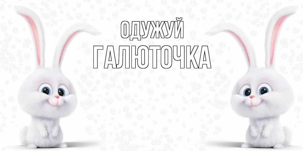 Открытка на каждый день з підписом, Галюточка Одужуй не болей с зайцем Прикольна листівка з побажанням онлайн скачати безкоштовно 