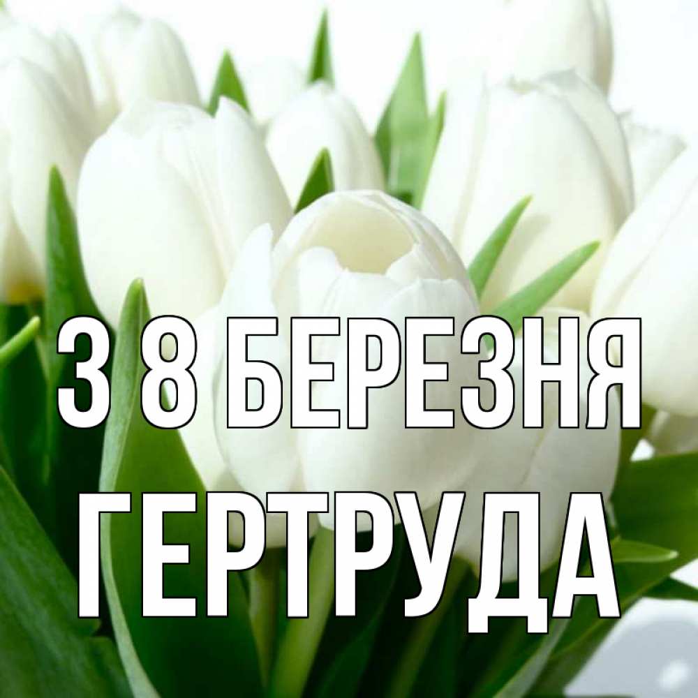 Открытка на каждый день з підписом, Гертруда З 8 БЕРЕЗНЯ цветы Прикольна листівка з побажанням онлайн скачати безкоштовно 