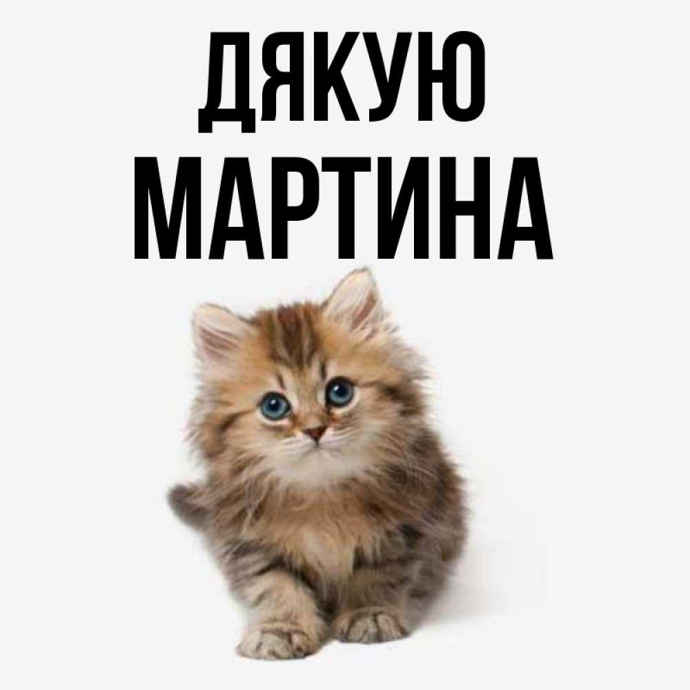 Открытка на каждый день з підписом, Мартина Дякую пушистый котик Прикольна листівка з побажанням онлайн скачати безкоштовно 