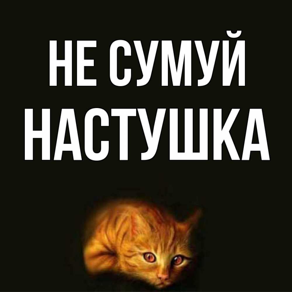 Открытка на каждый день з підписом, Настушка Не сумуй лежащий кот в темноте Прикольна листівка з побажанням онлайн скачати безкоштовно 