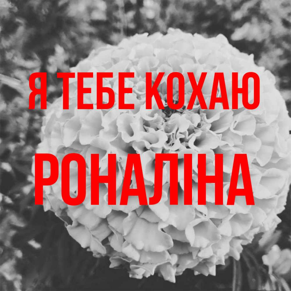 Открытка на каждый день з підписом, Роналіна Я тебе кохаю подпись Прикольна листівка з побажанням онлайн скачати безкоштовно 