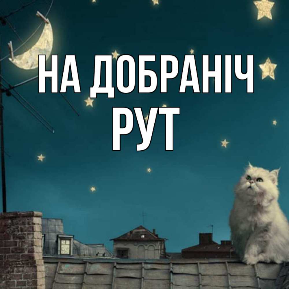 Открытка на каждый день з підписом, Рут На добраніч белый кот сидит на крыше Прикольна листівка з побажанням онлайн скачати безкоштовно 