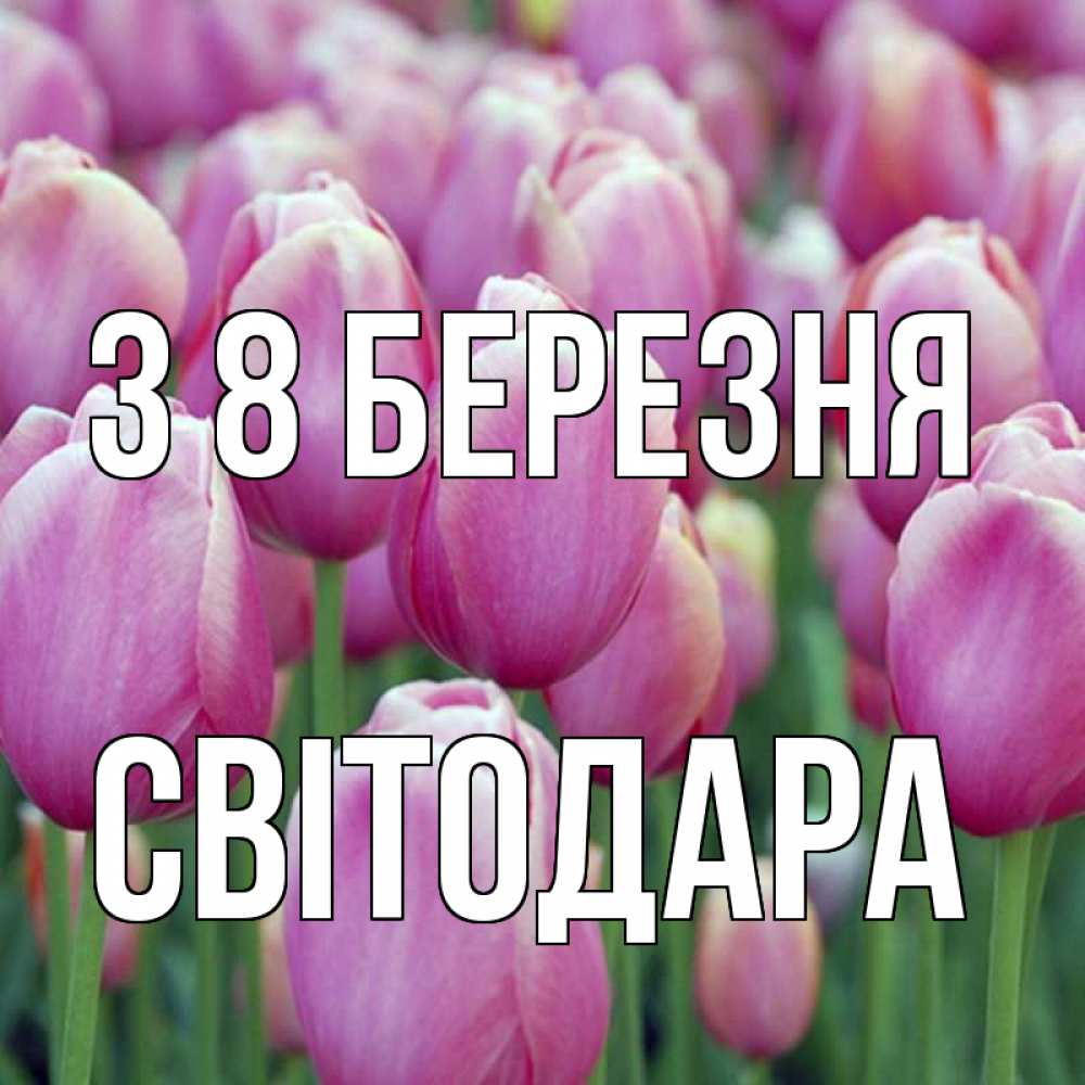Открытка на каждый день з підписом, Світодара З 8 БЕРЕЗНЯ на международный женский день 3 Прикольна листівка з побажанням онлайн скачати безкоштовно 