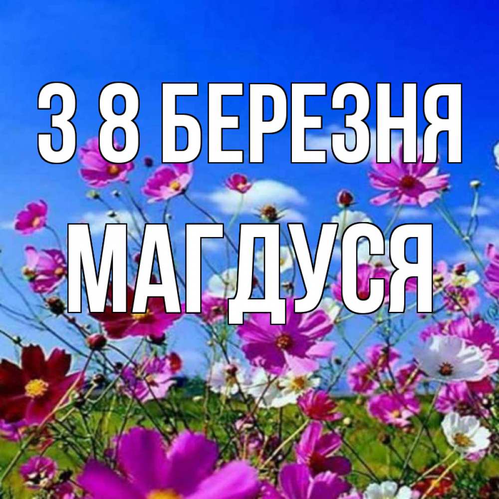 Открытка на каждый день з підписом, Магдуся З 8 БЕРЕЗНЯ цветы Прикольна листівка з побажанням онлайн скачати безкоштовно 